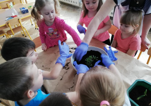 Dzieci sadzą kwiatki w doniczce.